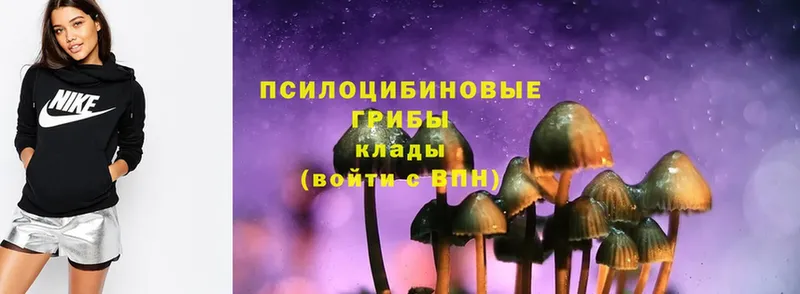 mega ссылка  Нолинск  Псилоцибиновые грибы Magic Shrooms 